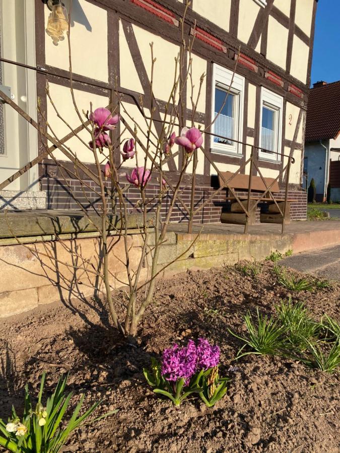 Pferdefairstand'S Ferienwohnung Haunetal Buitenkant foto
